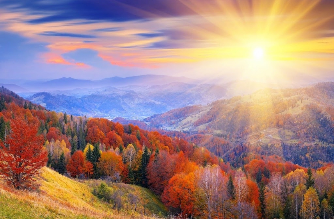 Sun-view-2B-25282-2529.jpg