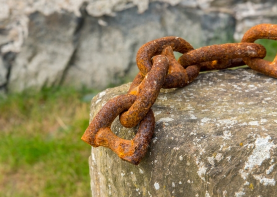 580_331565_161212whatsyourweakness_Autenrieth_hero