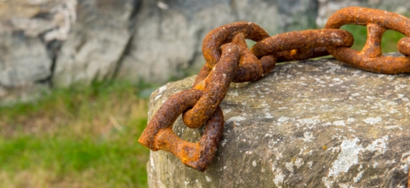 580_331565_161212whatsyourweakness_Autenrieth_hero