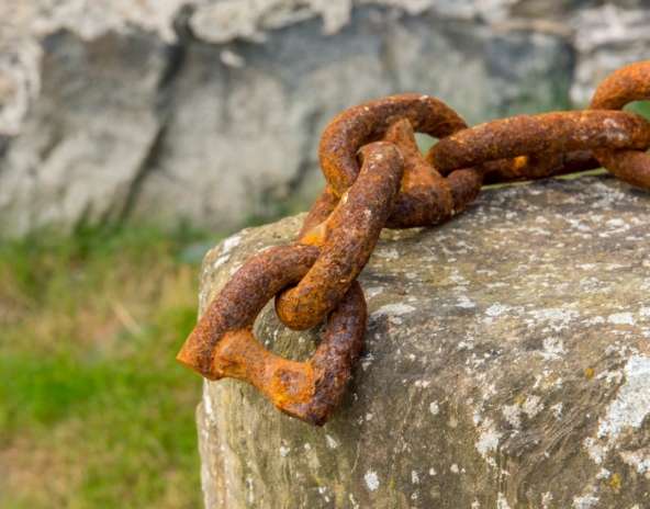 580_331565_161212whatsyourweakness_Autenrieth_hero